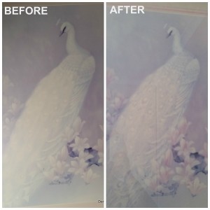 before-after-whole-picture