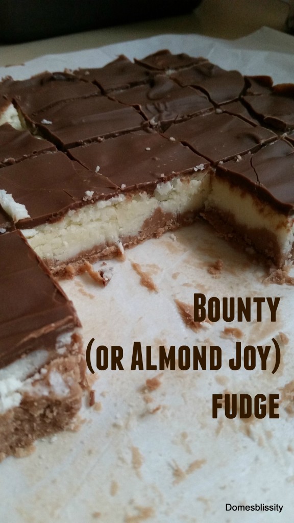 bounty-fudge-1