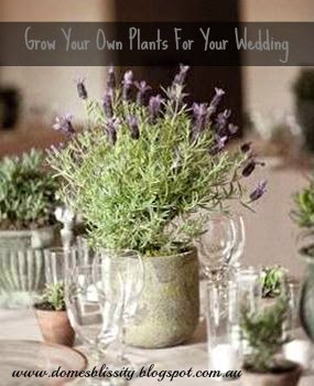 Grow your own plants for your wedding