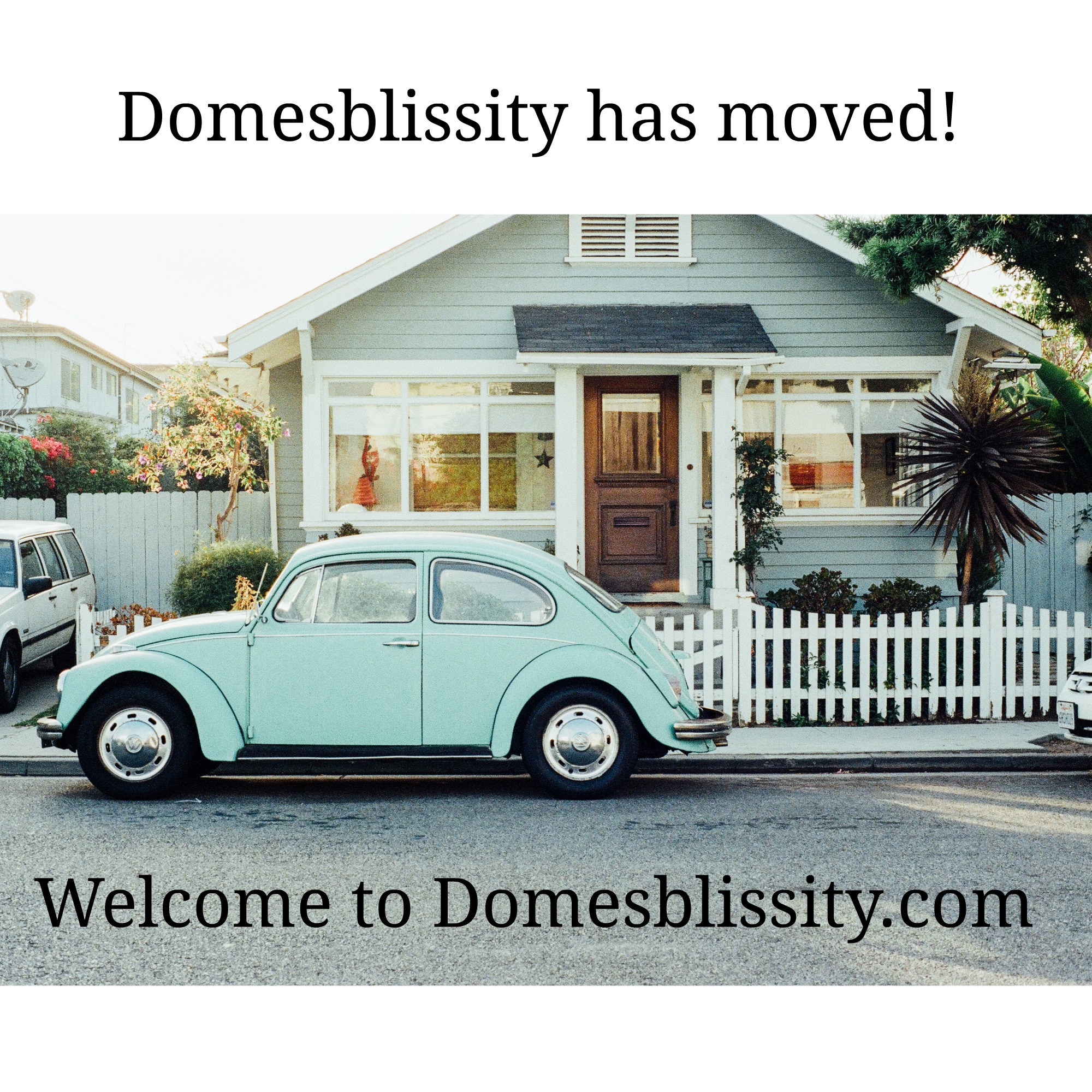 Welcome to Domesblissity.com!