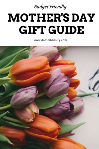 Budget Friendly Mother's Day Gift Guide #giftguide #mothersday www.domesblissity.com