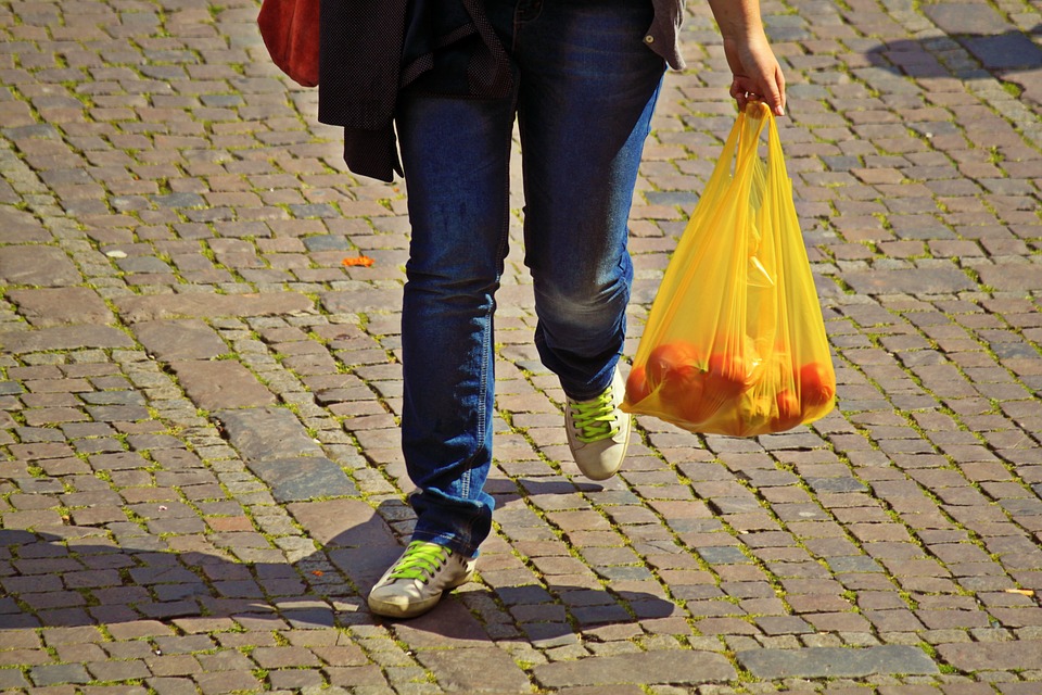 7 DIY Alternatives to Plastic shopping bags www.domesblissity.com
