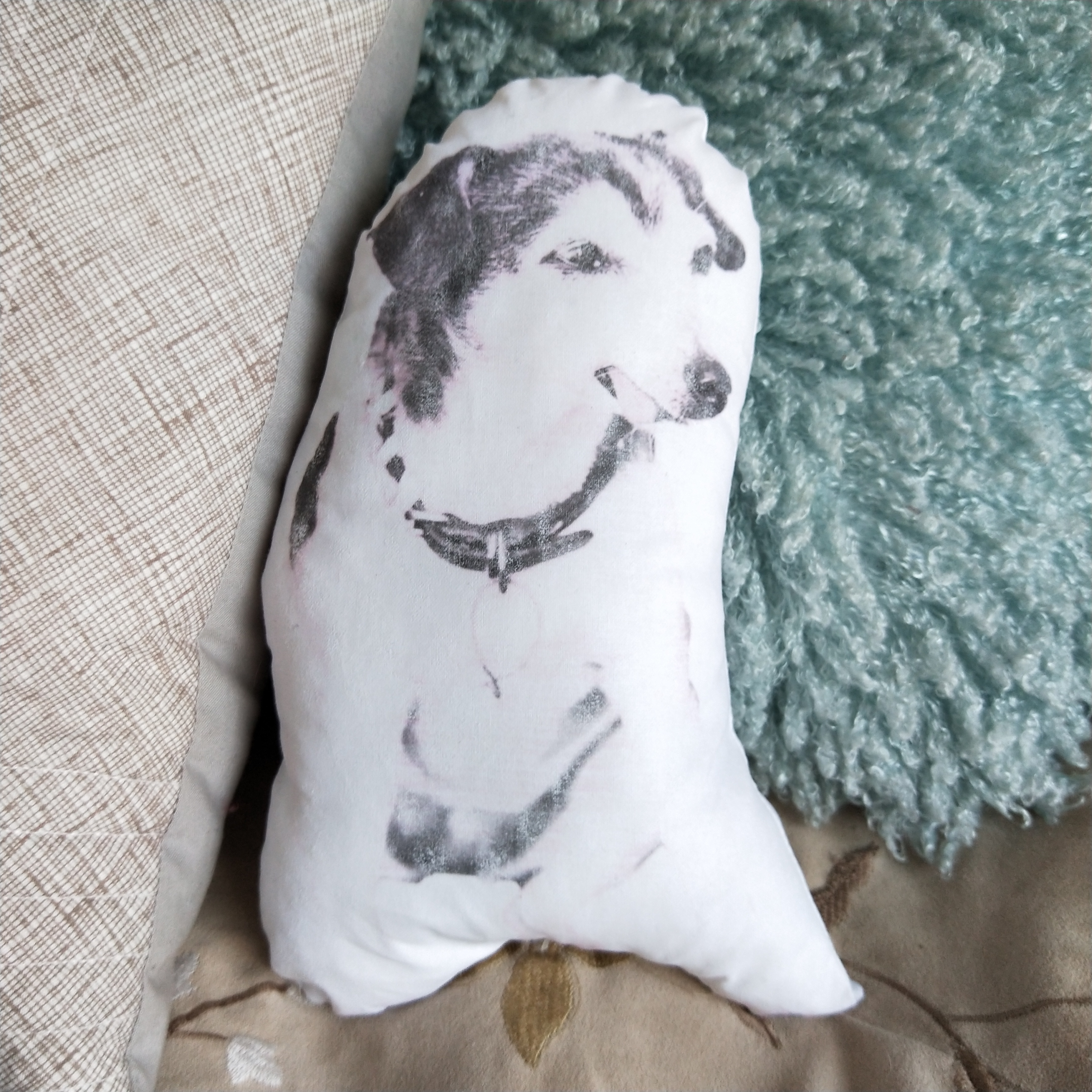 How to make your own custom pet photo print cushion