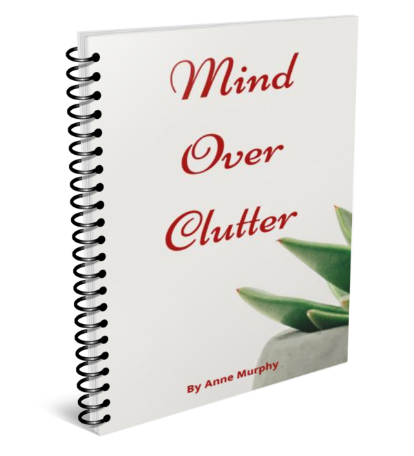 Mind Over Clutter www.domesblissity.com