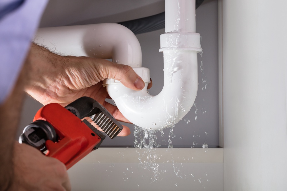 The Importance of Proper Plumbing in Your Home Domesblissity.com