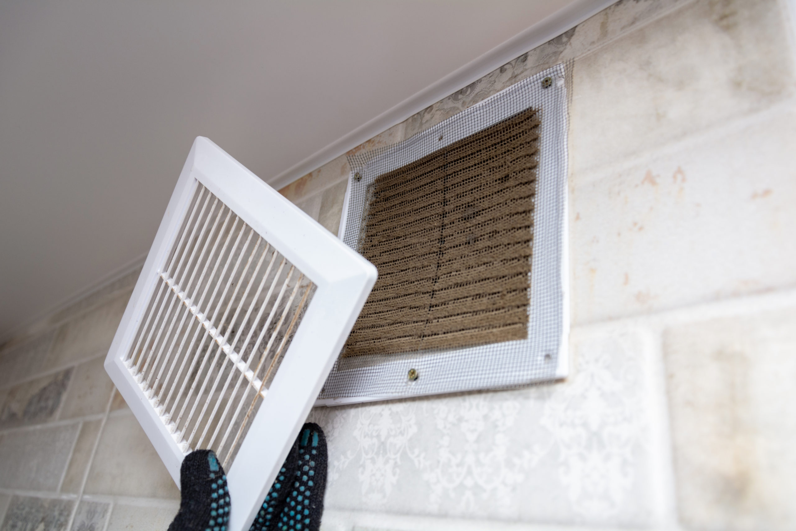 4 Reasons Why Air Filters Are Necessary