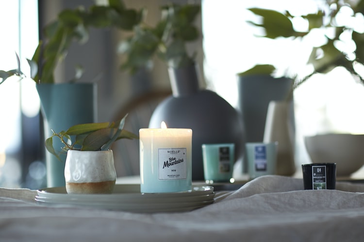 Air fresheners that are safe for your home