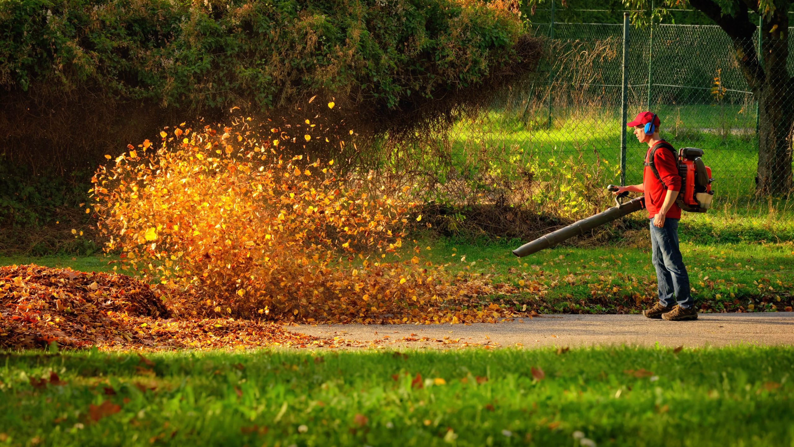 Three Tips For Removing Leaves Off Your Lawn