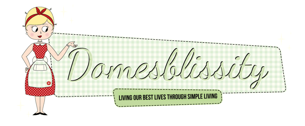 domesblissity logo